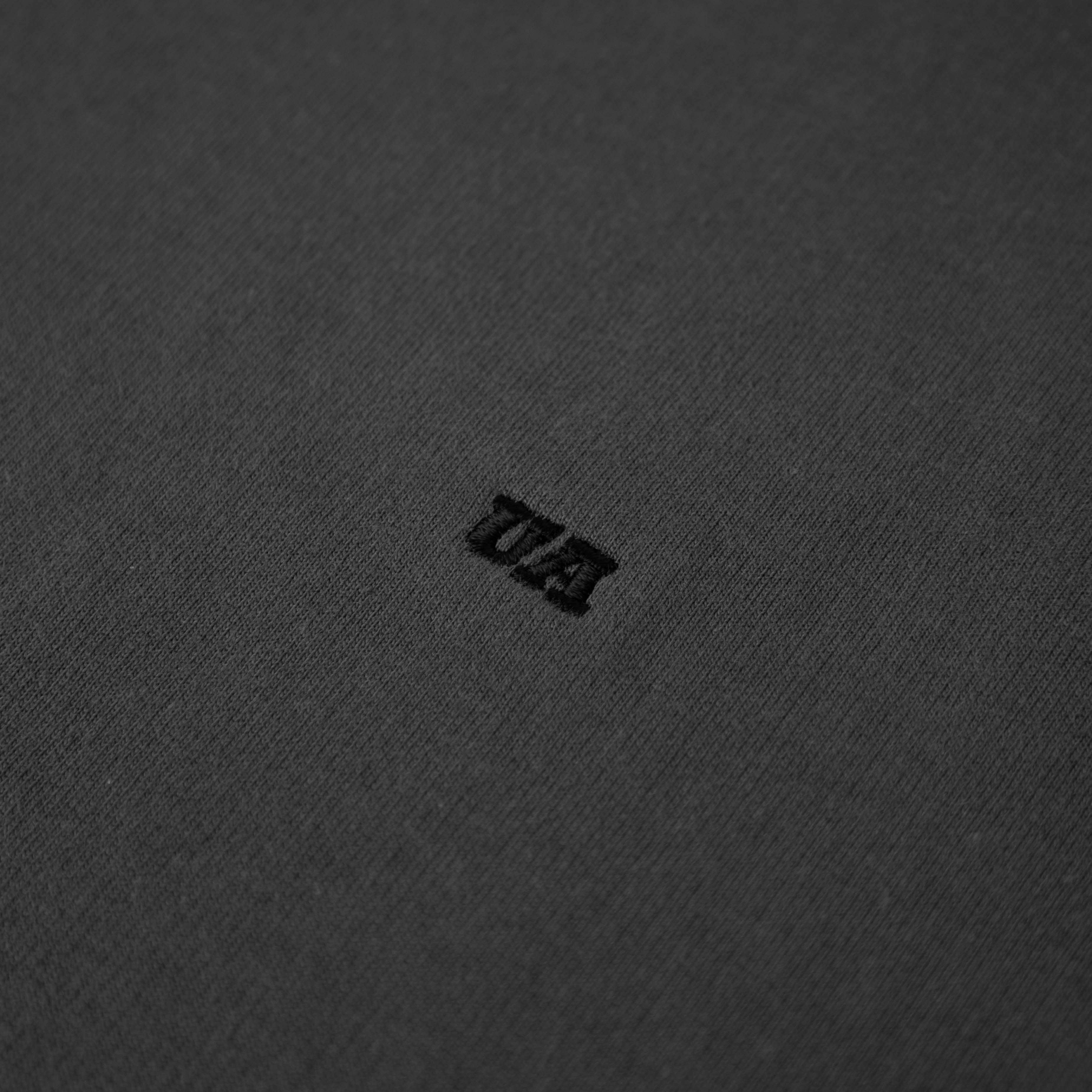 UA French Terry Plains - Iron Grey